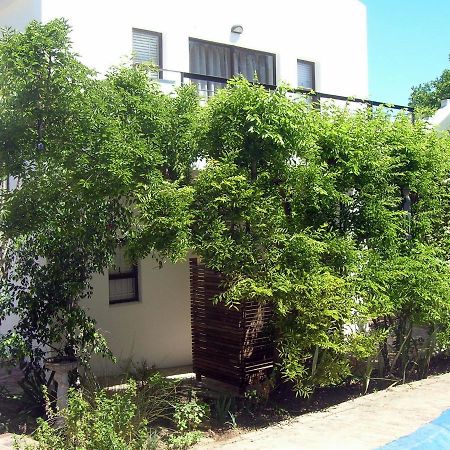 16 Rhodes-North Self Catering Apartment & Studio 斯泰伦博斯 外观 照片